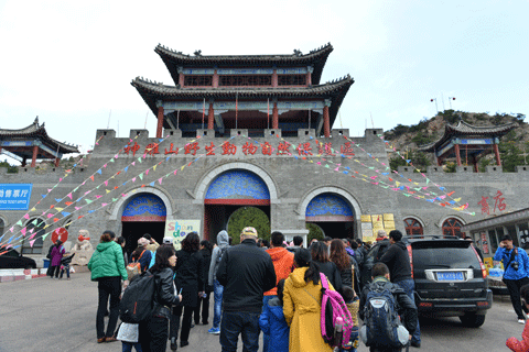 �ǿ��������Ա��������Ұ�����ﱣ����